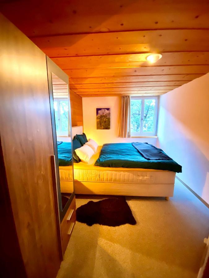 Appartement Aareschlucht- Grandiose Aussicht Fuer 2-6 Pers. Meiringen Exteriör bild