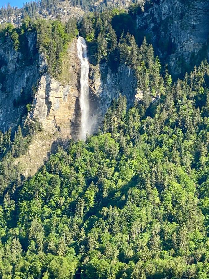 Appartement Aareschlucht- Grandiose Aussicht Fuer 2-6 Pers. Meiringen Exteriör bild