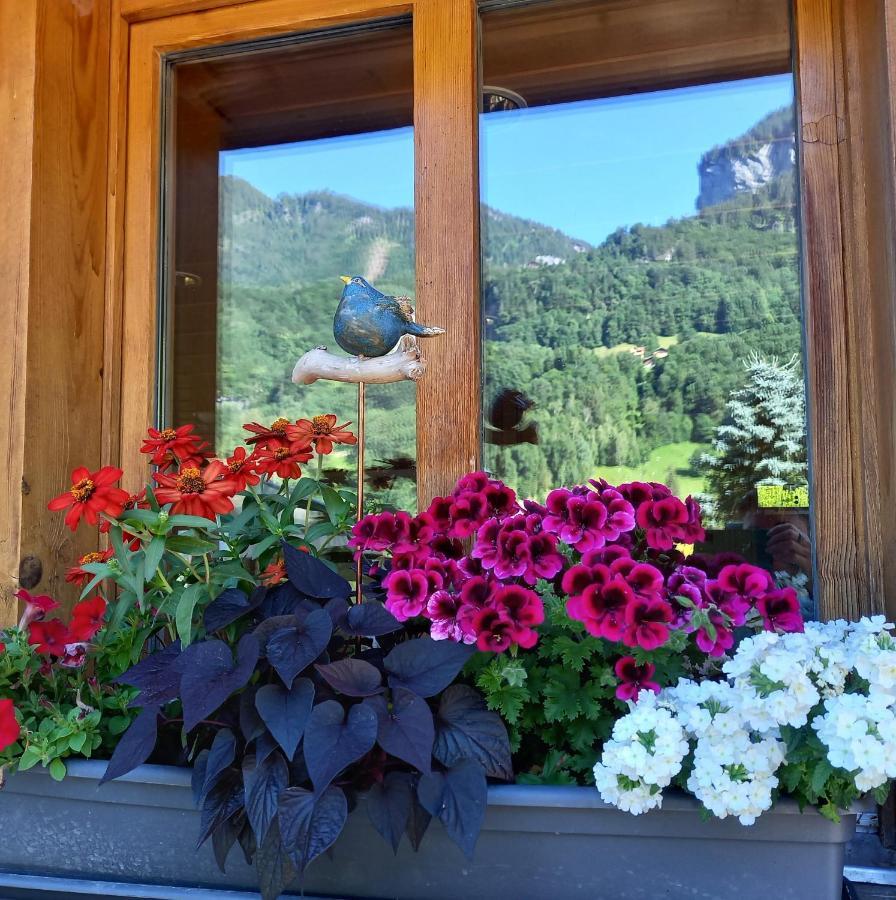 Appartement Aareschlucht- Grandiose Aussicht Fuer 2-6 Pers. Meiringen Exteriör bild